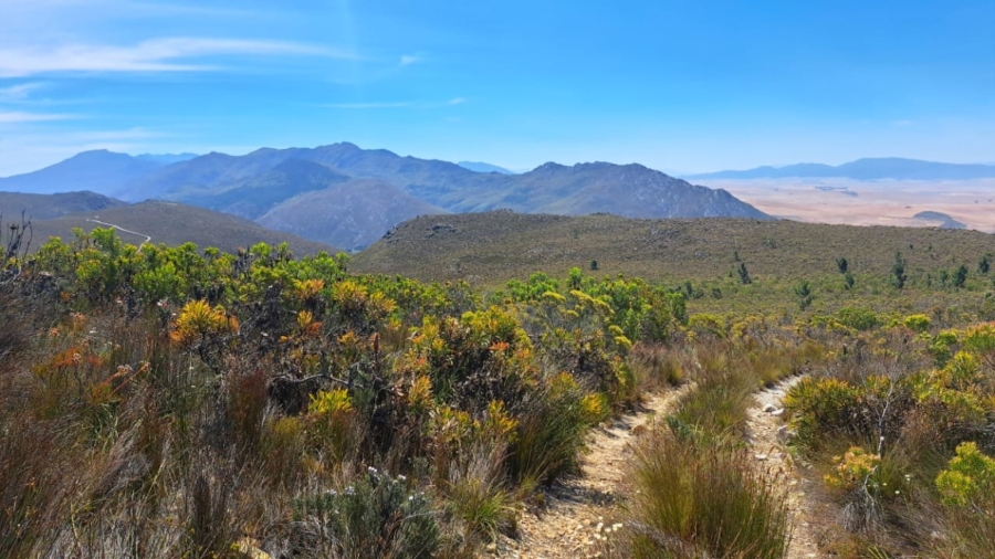 0 Bedroom Property for Sale in Caledon Rural Western Cape